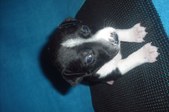 Enlarge photo 24
