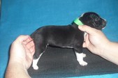 Enlarge photo 11