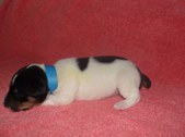 Enlarge photo 16
