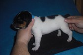 Enlarge photo 14