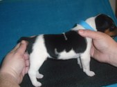 Enlarge photo 12