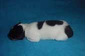 Enlarge photo 19