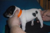 Enlarge photo 14