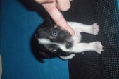 Enlarge photo 13