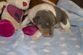 Enlarge photo 16