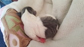 Enlarge photo 21