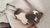 Enlarge photo 22