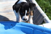 Enlarge photo 14