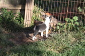 Enlarge photo 10