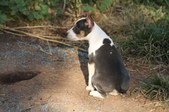 Enlarge photo 13
