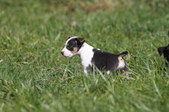 Enlarge photo 23