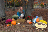 Enlarge photo 3