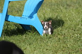 Enlarge photo 20