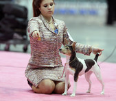 Enlarge photo 24