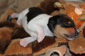 Enlarge photo 23