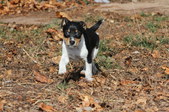 Enlarge photo 7