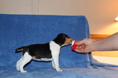 Enlarge photo 18