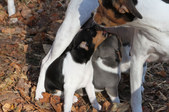 Enlarge photo 12