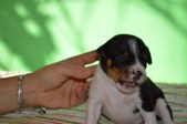 Enlarge photo 15