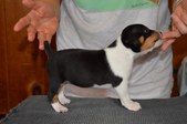 Enlarge photo 12