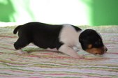Enlarge photo 16