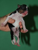 Enlarge photo 24