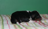 Enlarge photo 23
