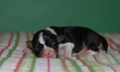 Enlarge photo 22