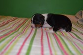 Enlarge photo 19