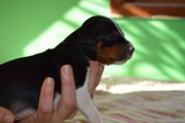 Enlarge photo 18