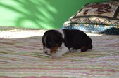 Enlarge photo 17