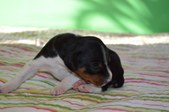 Enlarge photo 16