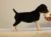 Enlarge photo 10