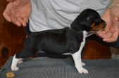 Enlarge photo 14