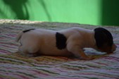 Enlarge photo 23