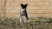 Enlarge photo 7
