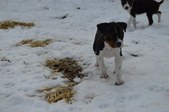 Enlarge photo 17