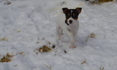 Enlarge photo 24