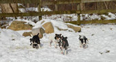 Enlarge photo 23