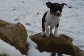 Enlarge photo 15