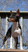 Enlarge photo 23