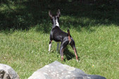 Enlarge photo 6