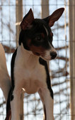 Enlarge photo 24