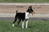 Enlarge photo 20