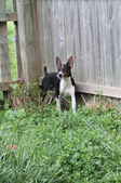 Enlarge photo 13
