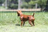 Enlarge photo 24