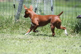 Enlarge photo 12