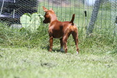 Enlarge photo 20