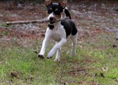 Enlarge photo 24