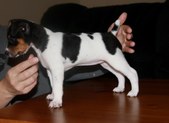 Enlarge photo 11